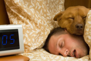 Better-sleep-H Improve Sleep