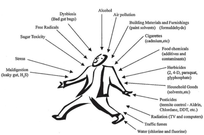 DetoxHeavyMetals Detox Heavy Metals and Chemicals